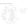 Промышленный электрический проточный водонагреватель Невский АВП-Нп-350 КН-5